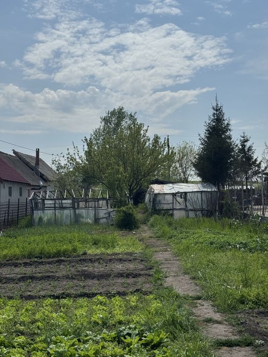 Teren intravilan 1000mp in Nanov langa Alexandria strada rasaritului
