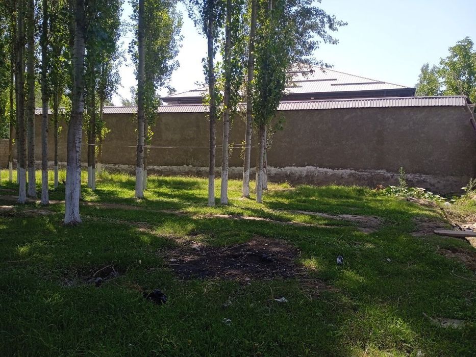 Продаю землю 5соток г.Янгиюль