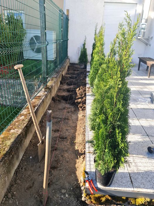 Gradina ta prioritatea noastra ! Ajutor in gradina!