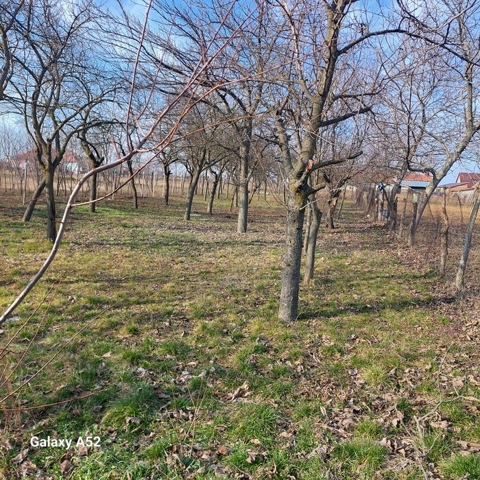 Casă de vânzare .