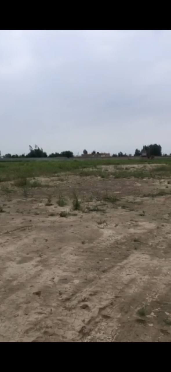 Срочно сотилади Янгиюль 1 гектар