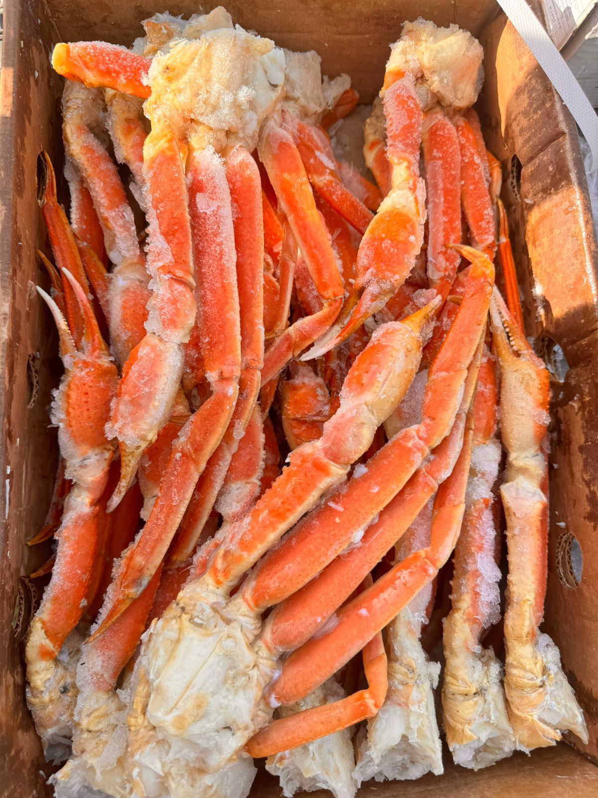 Краб стригун, форель копчёная