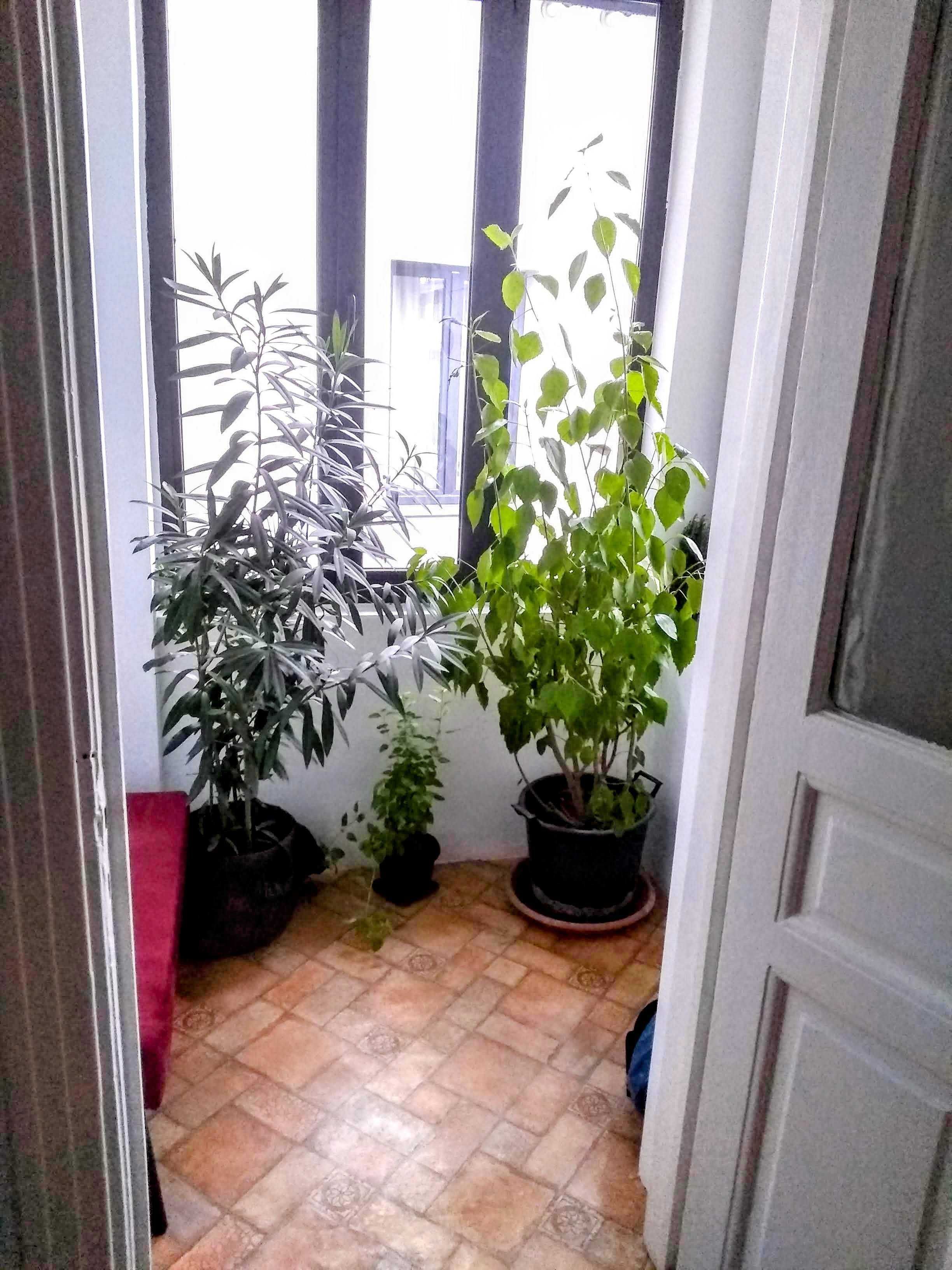 Ap in vila pretabil cabinet/birou/firma Cantemir-Budapesta, Proprietar