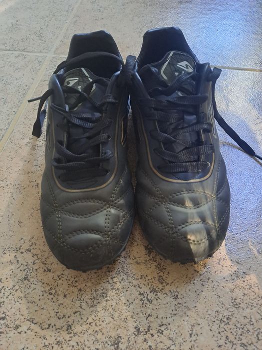 Стоножки , 31 номер