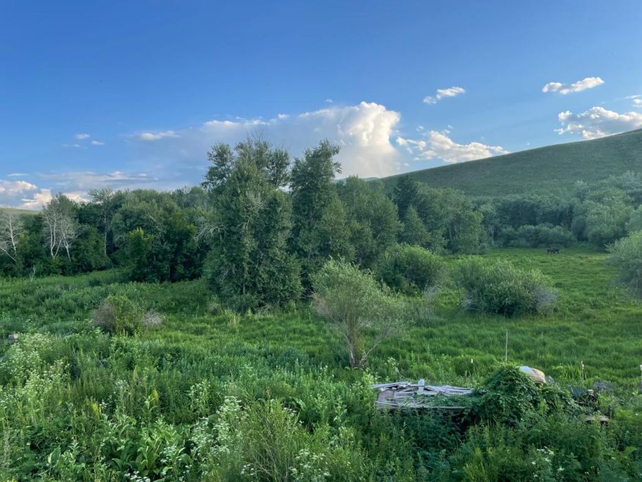 Продам крестьянское хозяйство