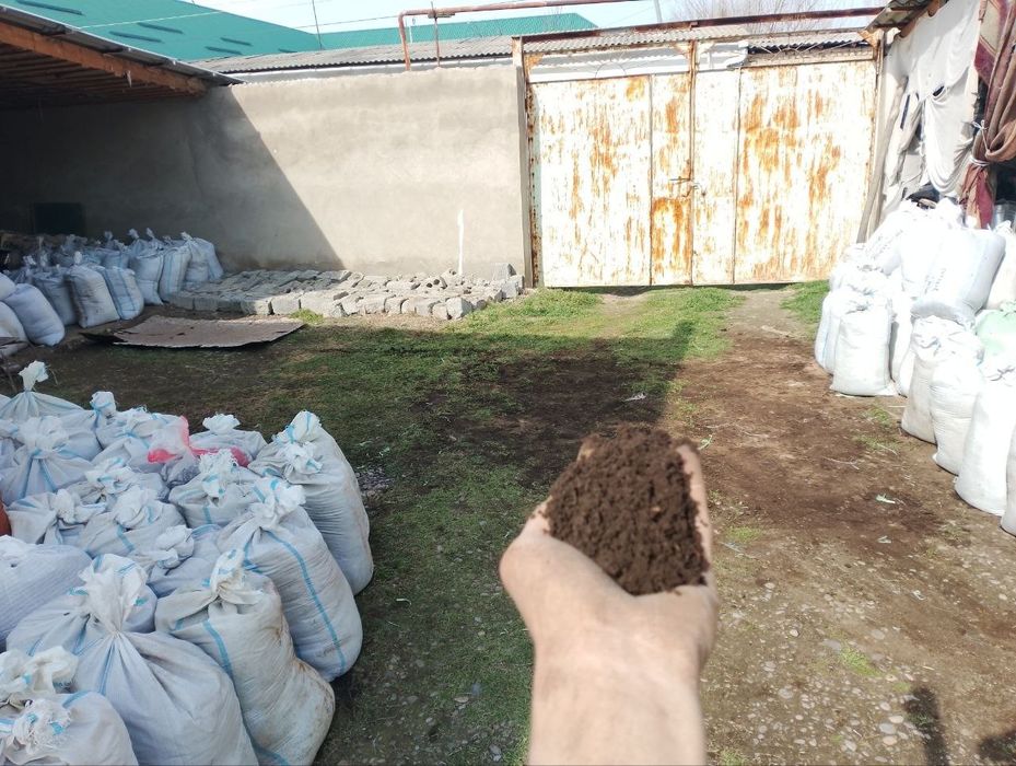 Калифорния чувалчанги калифорнийский червы