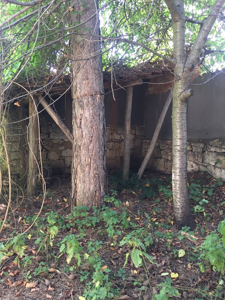 Продава се Къща в с. Побит камък, Област Разград - 100 кв.м за 128 €/кв.м - Снимка #4