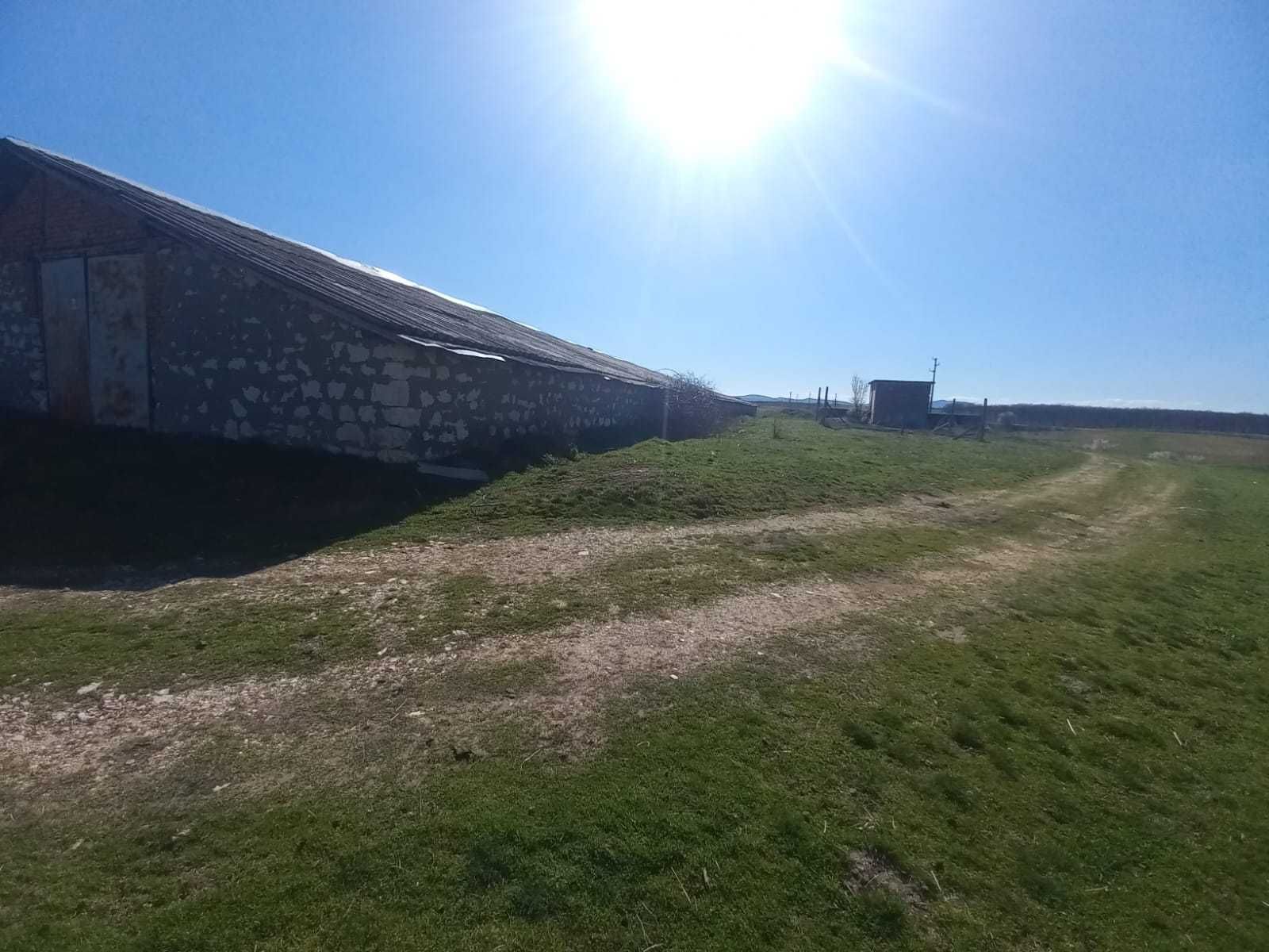 Селскостопанска сграда в с. Жълти бряг, обл. Хасково