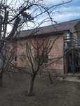 Vand Casa Gorneni
