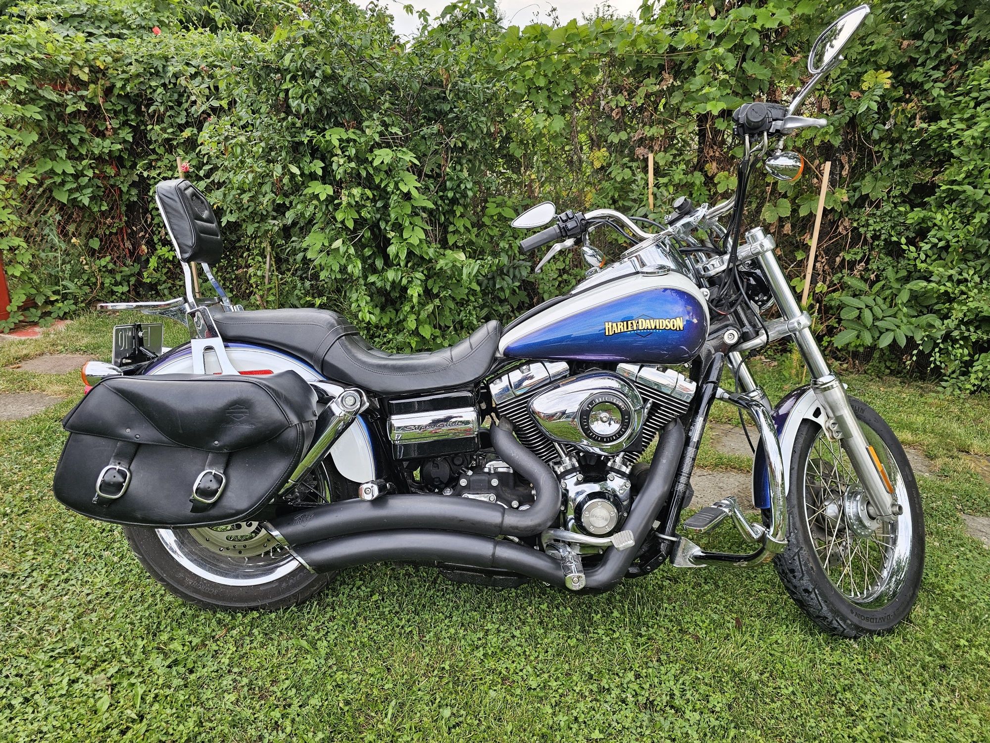 Harley impecabil