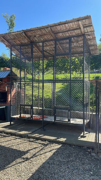 Costei de adapostit porumbul