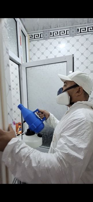 Dezinfeksiya — Klop Tarakan Chivin yo‘qotamiz Litsenziya Bor