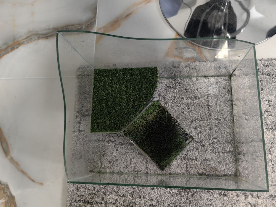 Стъклен аквариум