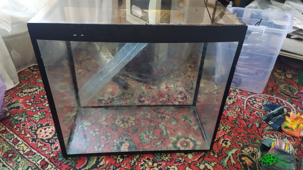 Продам аквариум 45 л и рыбки разные