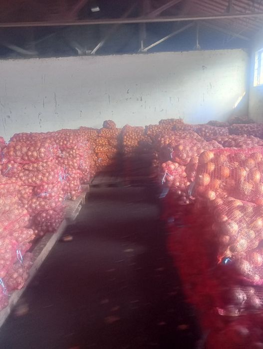 ceapa 0.70 bani kg.  unirea de Braila