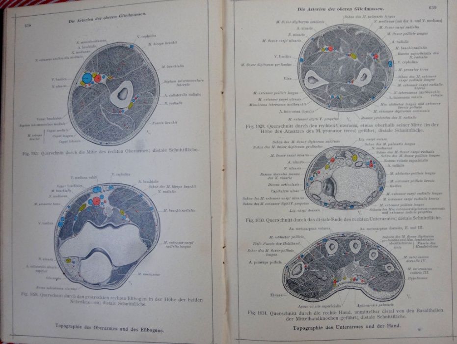 Антикварни книги - атлас анатомия - 2 бр.