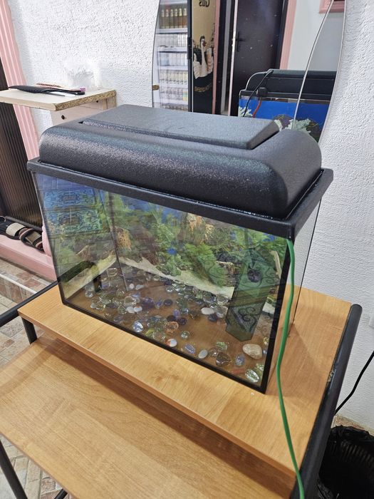 Аквариум новый в