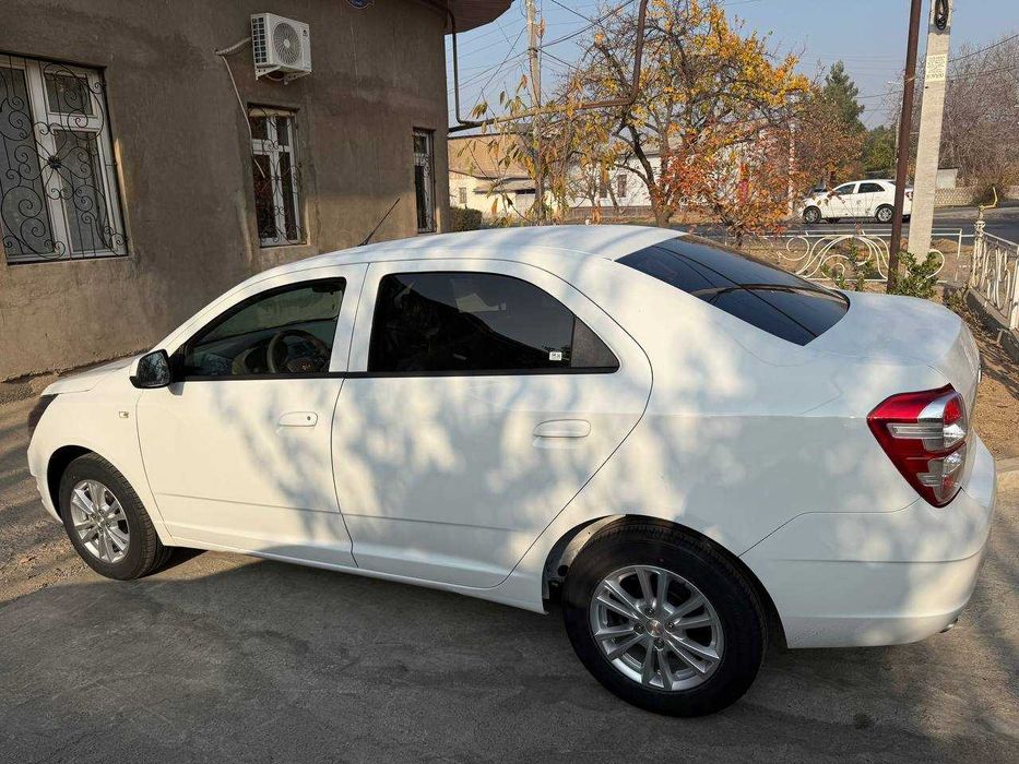 Oq yangi COBALT MCM-2026