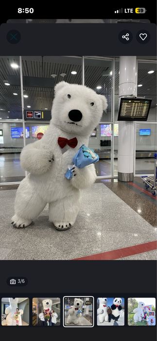 Мишка аниматор для праздника