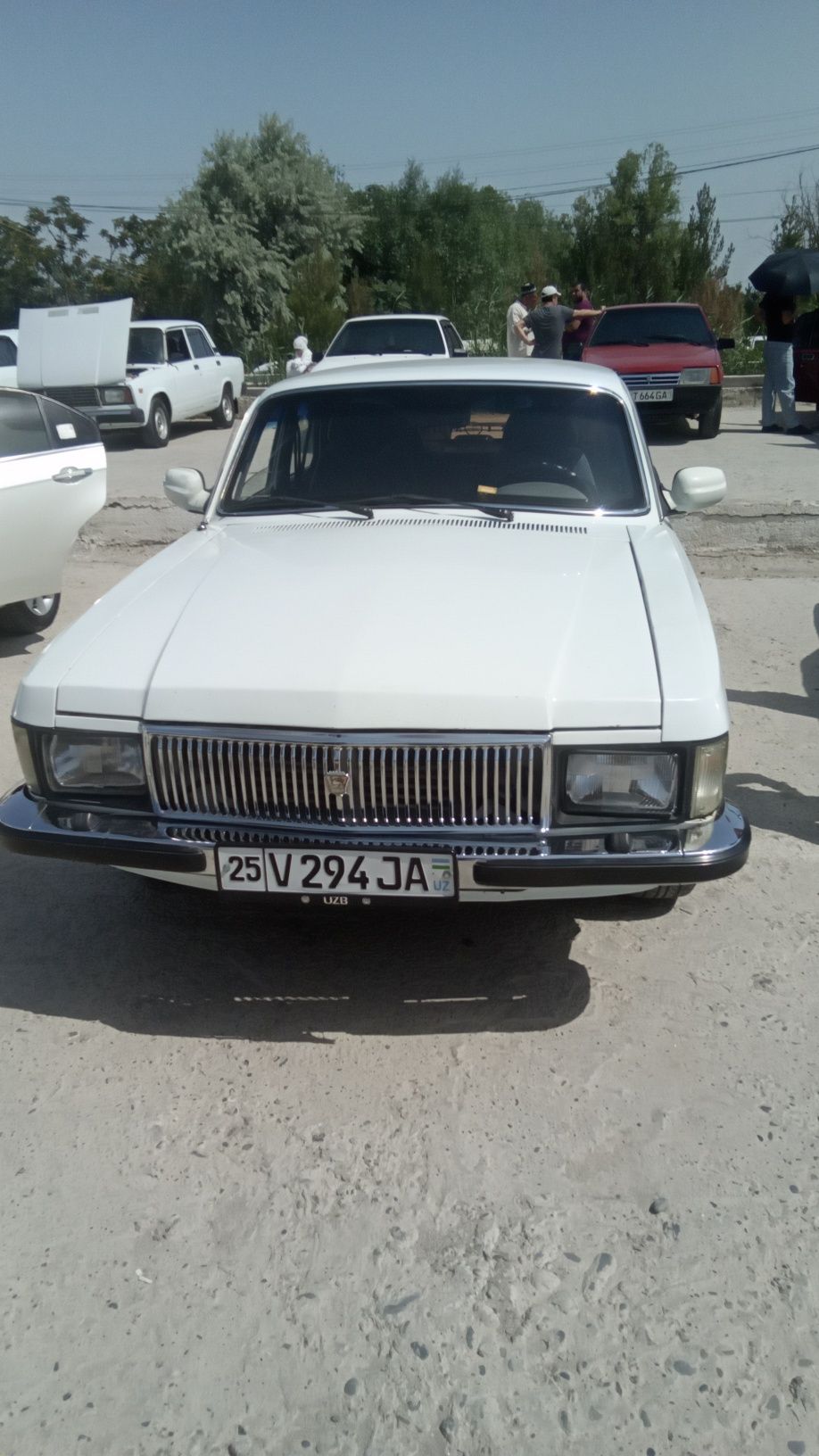 Volga 3102 jizzax