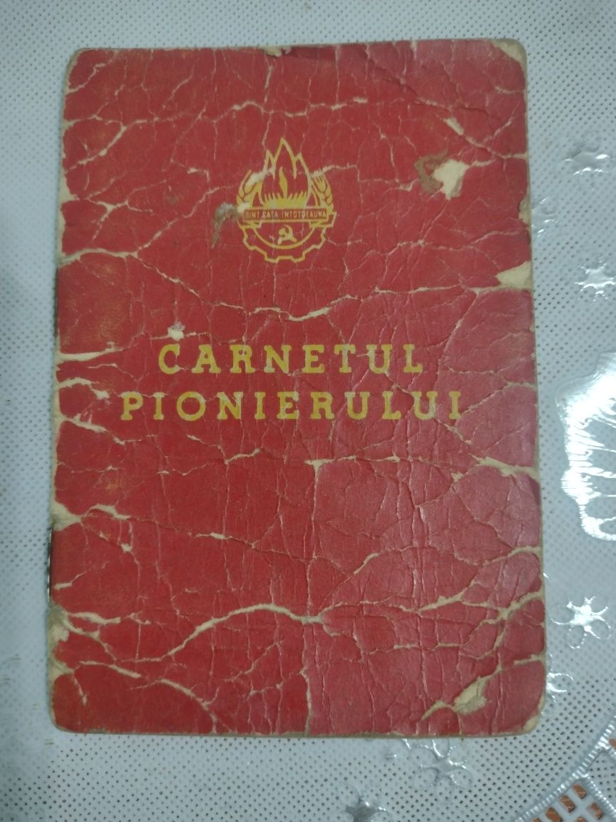 3*Carnetul pionierului