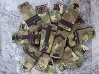 Embleme și grade militare