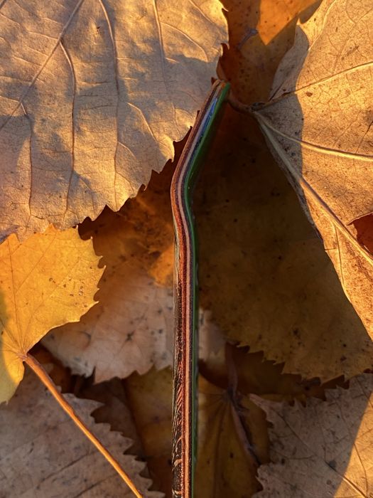 Placa de fingerboard semi boxy