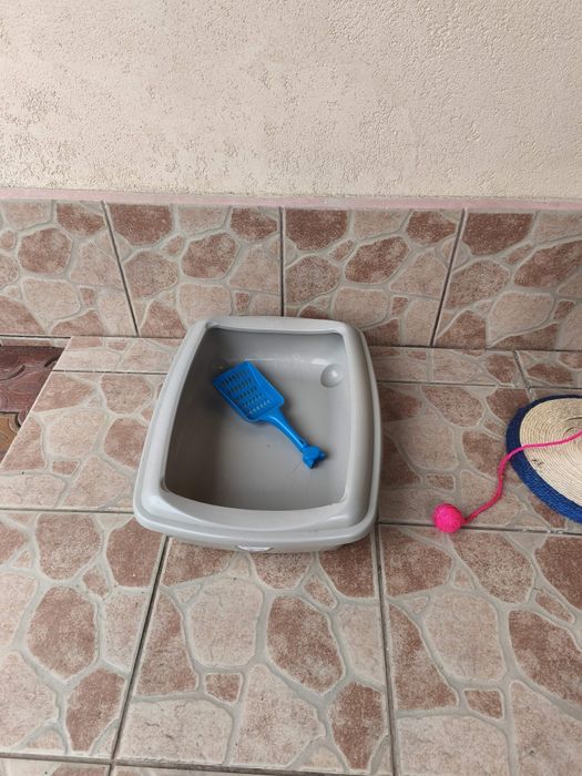 Litiera și jucărie pisicii