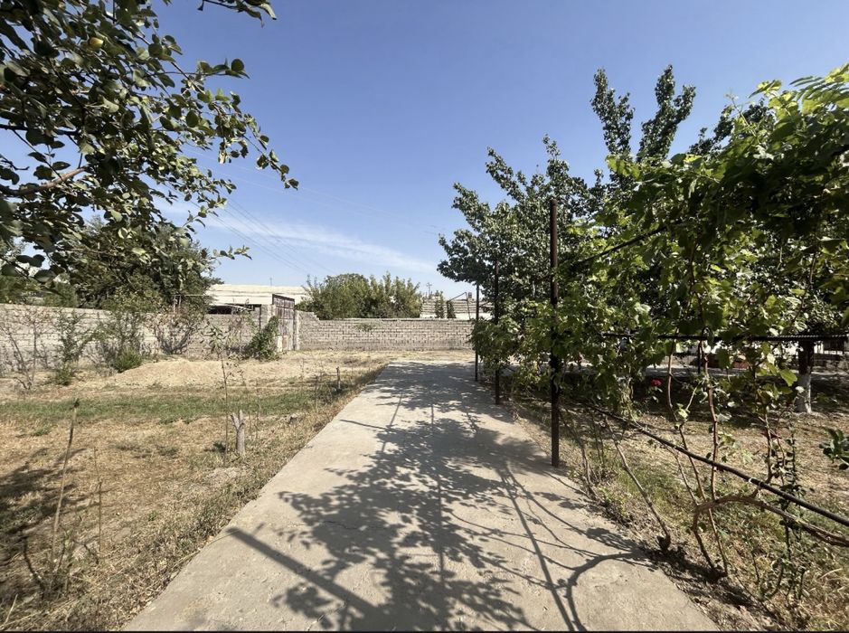 Yer sotilafi 5 sotix