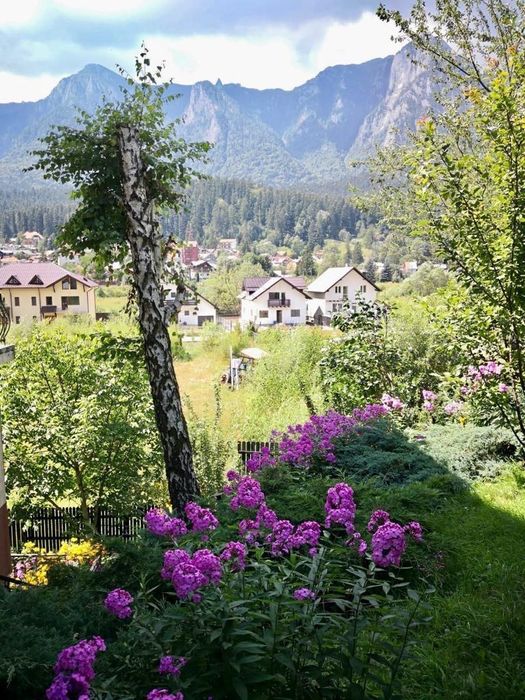 Vila Mihaela – Cazare Bușteni, Strada Castel Cantacuzino