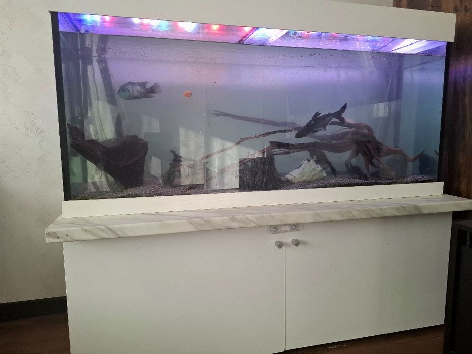 Аквариум с цяло оборудване