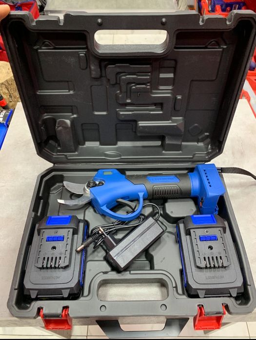 Tok qaychi (Sekatir)