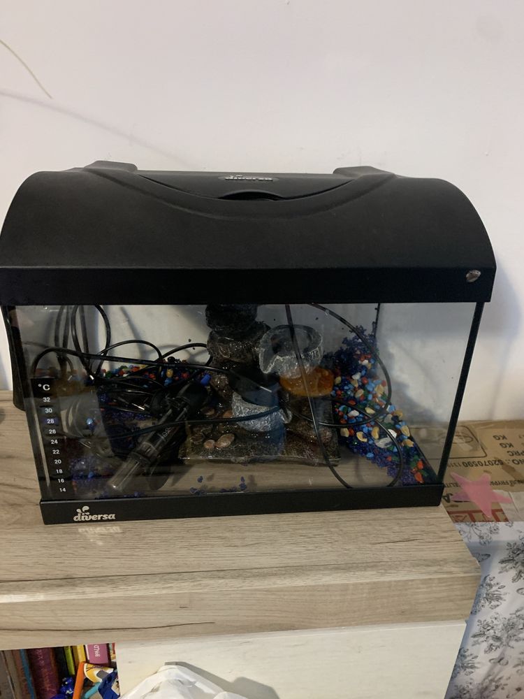 Acvariu 20 l luminat,incalzitor,filtru  si inca o pompita