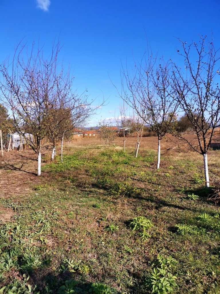Продава се Къща в с. Козаревец, Област Велико Търново - 80 кв.м за 563 €/кв.м - Снимка #4
