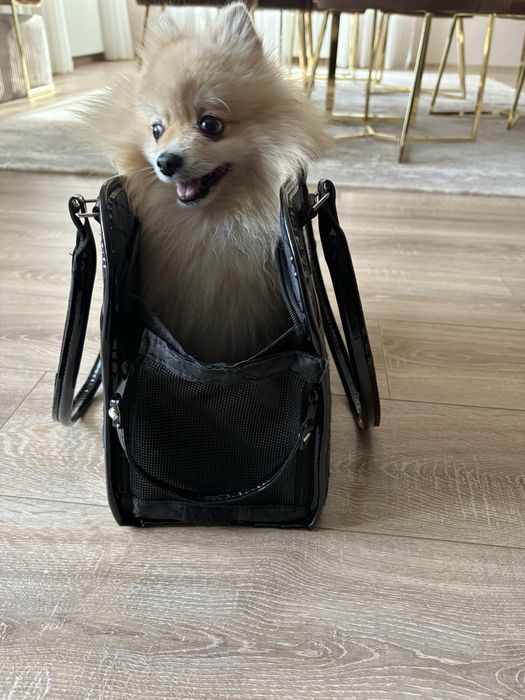 Чанта за домашен любимец