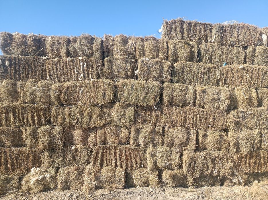 Yantoq press  sotiladi.