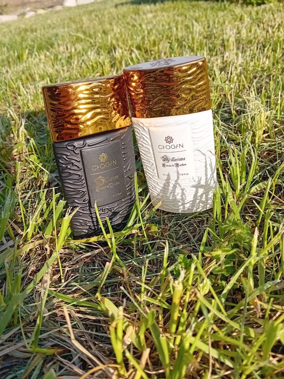 Parfumuri dama/barbati