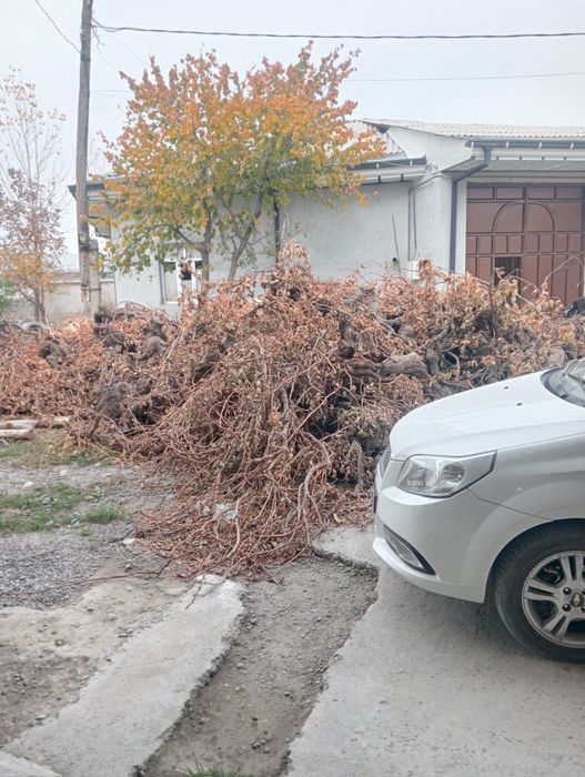 Утин сотилади. ток Кунда