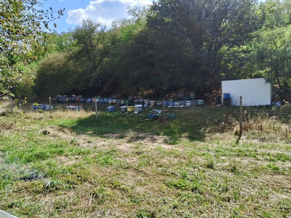 Продавам кошери .