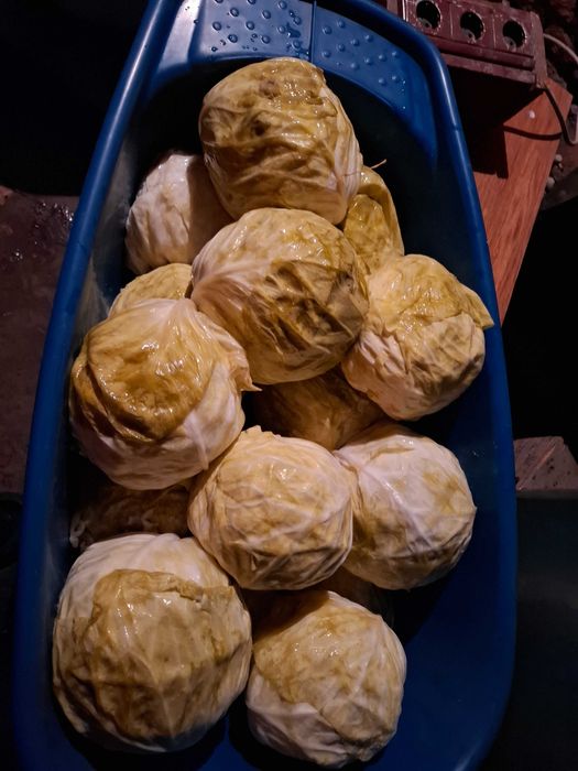 Varza murata  pentru sarmale