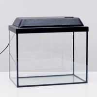 Продам новый аквариум прямоугольный с крышкой и освещением 35 литров!