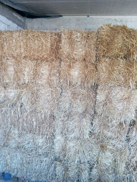 Paie baloți mici dreptunghiulari corbu cta transport ccost