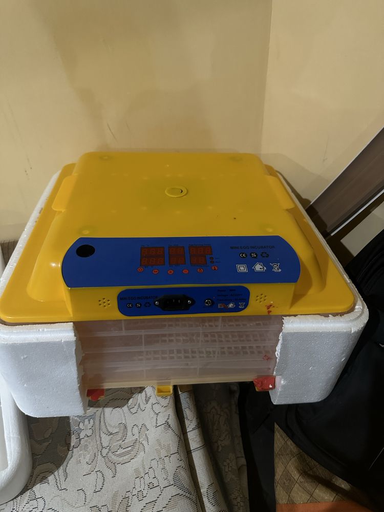 Инкубатор 48 жұмыртқа