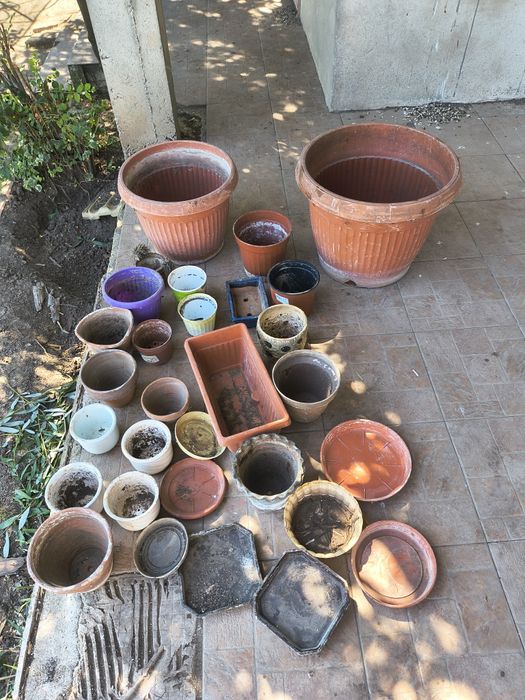 Много саксии употребявани