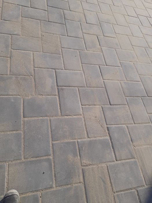 Montaj pavaj, excavatii, amenajari