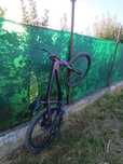 Orbea Pellejo Custom