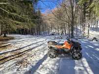 Gorilla silverback r14 jante Cf Moto