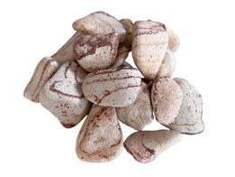 Pietricele decorative Rainbow