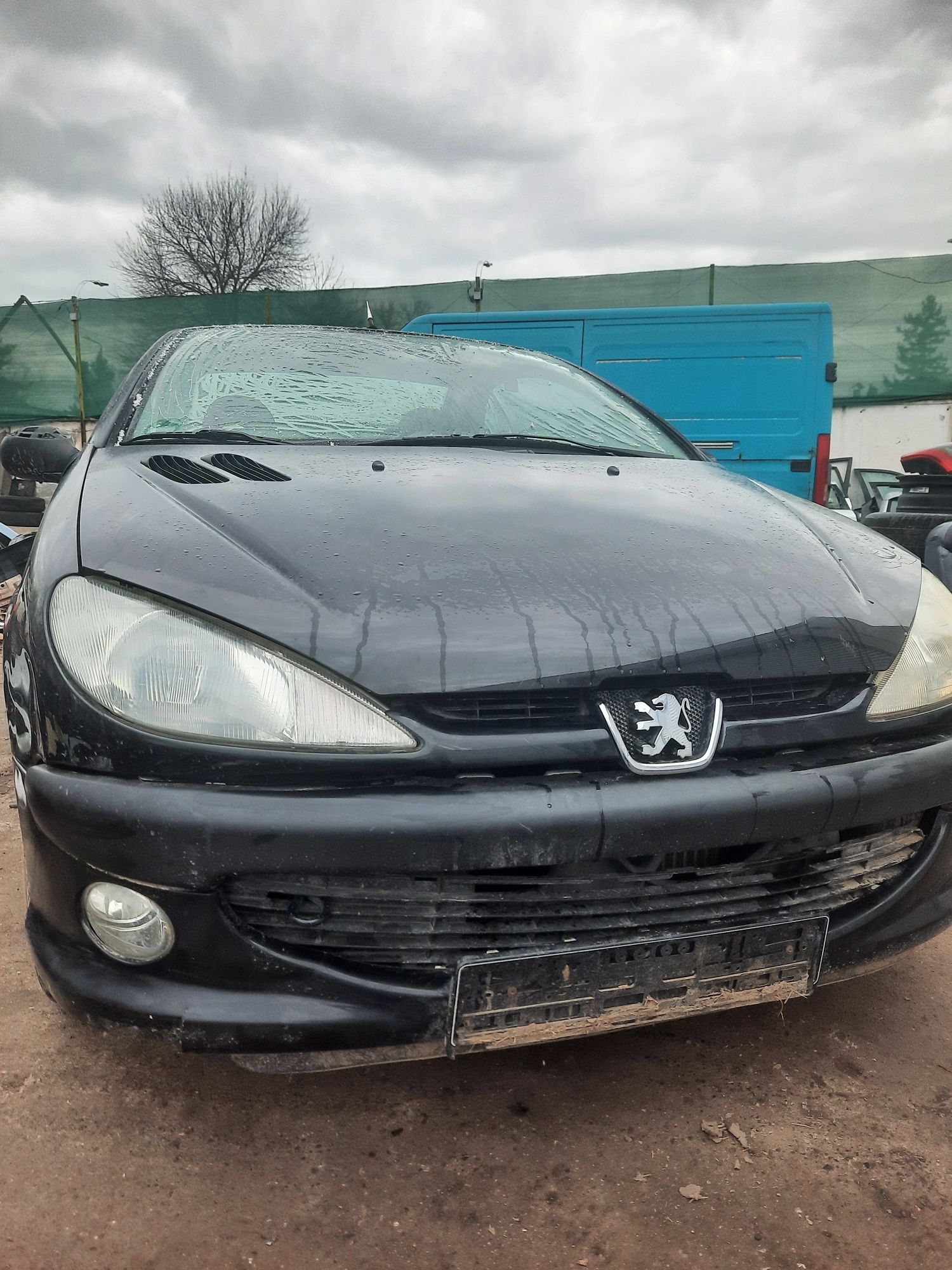 Пежо 206 кабрио 1.6 бензин / Peugeot 206 CC 1.6 I на части