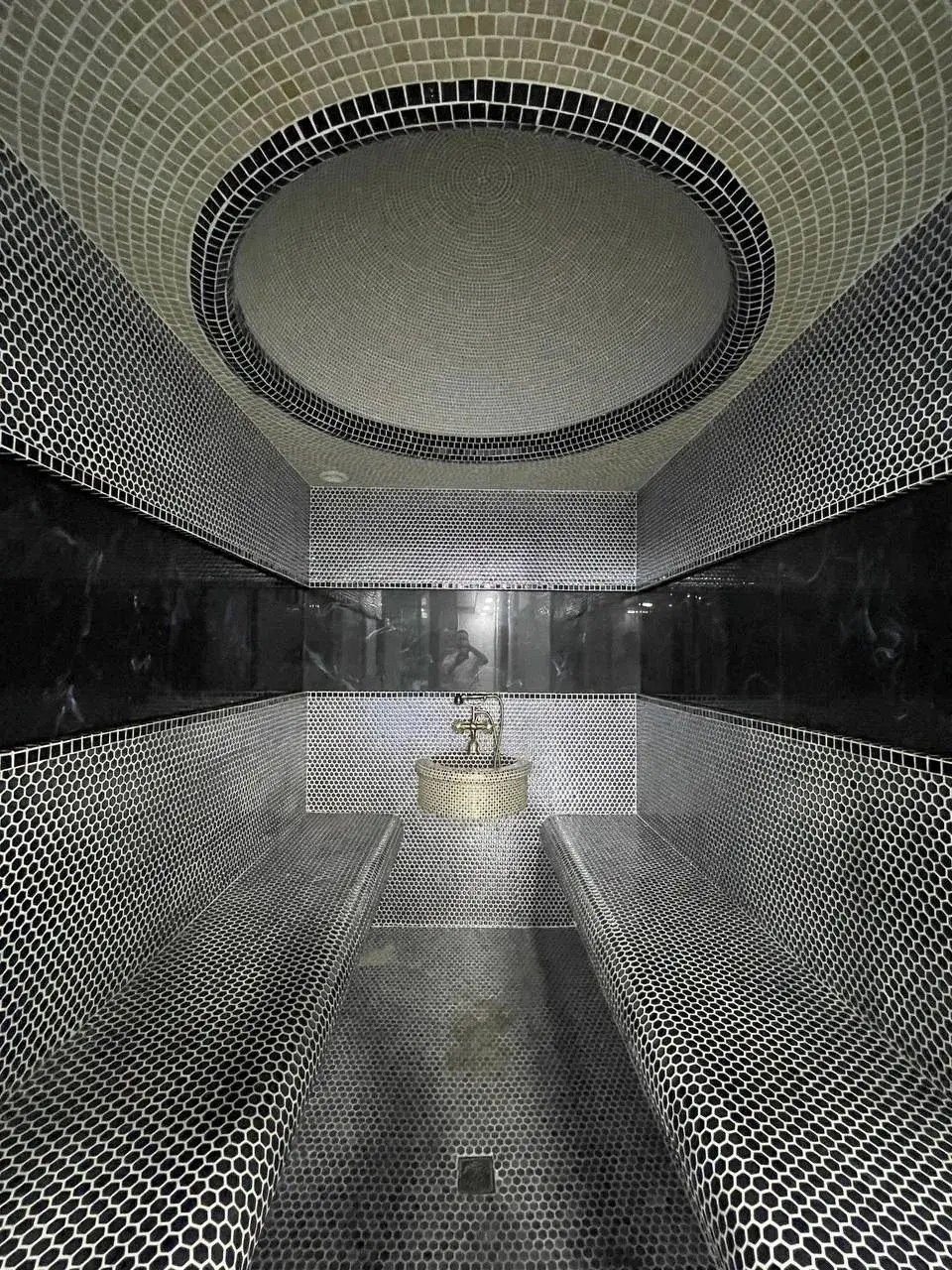 Дача Чарваке семени